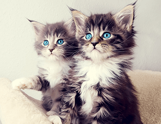 职场有效沟通的技巧和方法，有效沟通方法和技巧有哪些