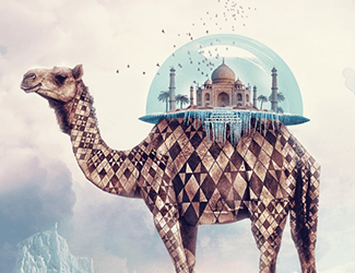 计划部的工作规划？计划部的工作规划怎么写