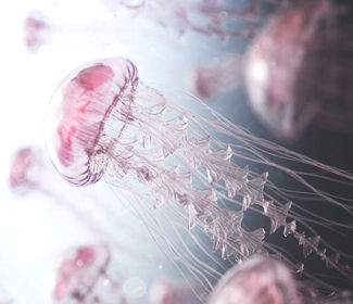 求职意愿是什么，求职意愿是什么意思啊